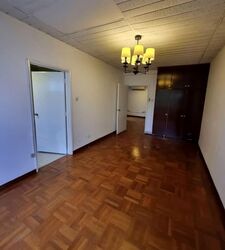 The Cairnhill (D9), Condominium #599723381